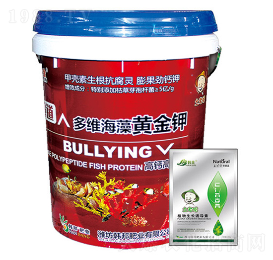 ���}����Ͷ�S�����S���-�n��-�n��ʘI(y��)