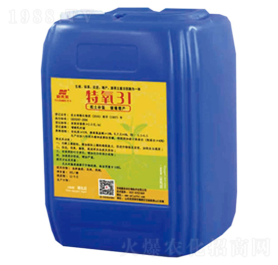 ����31-��δ��(l��i)