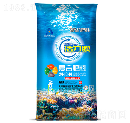 ����Ĥ�ͺϷ���24-10-14-�۠���