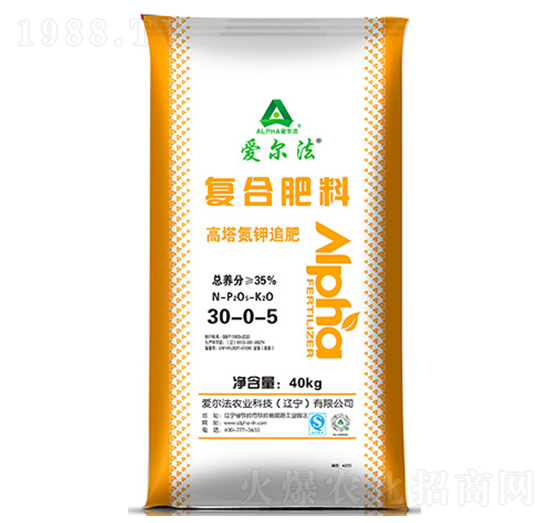 �������׷�ʏͺϷ���30-0-5-�۠���