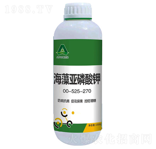 ���偆�����-�۠���