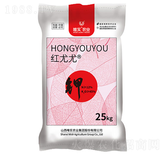 �w��⛷�-�t����-Ψ��(sh��)