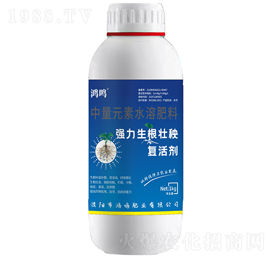 ������������ͺτ�-���Q