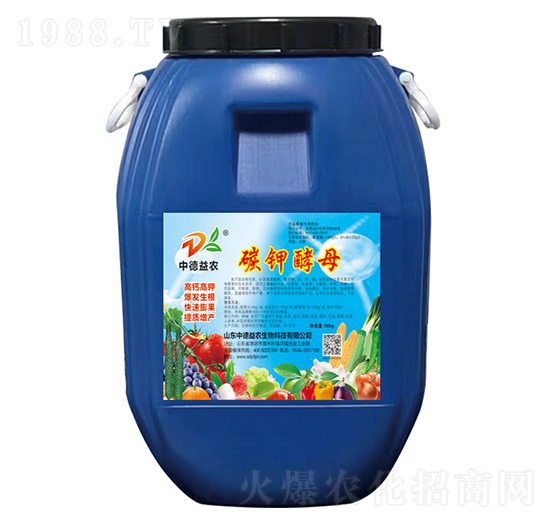 ̼⛽�ĸ-�е����r