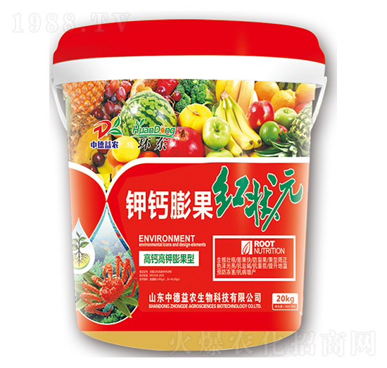 ��}����t��Ԫ-�е����r(n��ng)