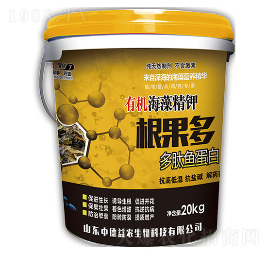 �ЙC(j��)���徫�-������-�е����r(n��ng)