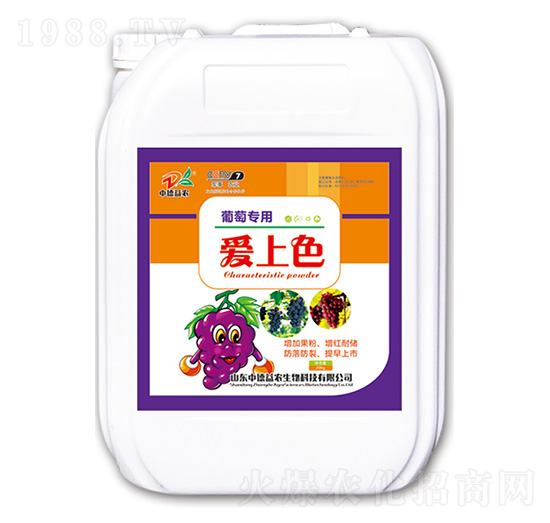 ���ь��Ð���ɫ-�е����r(n��ng)