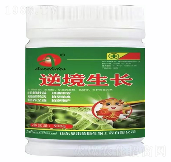 �澳���L(zh��ng)-�W�׵�˹