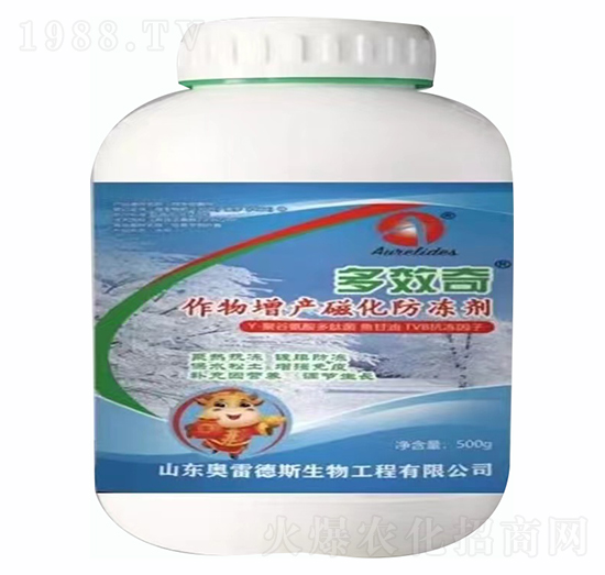 500g�������a(ch��n)�Ż�������-��Ч��-�W�׵�˹