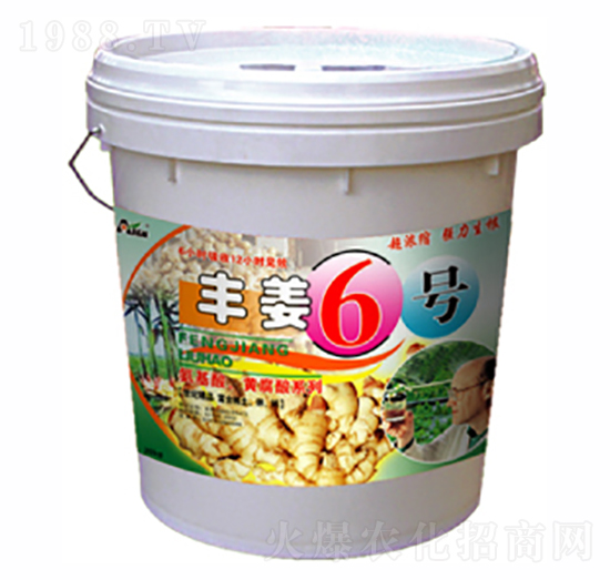 ��ֲ����-�S��6̖(h��o)-������