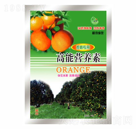 ���ܠI(y��ng)�B(y��ng)��-������