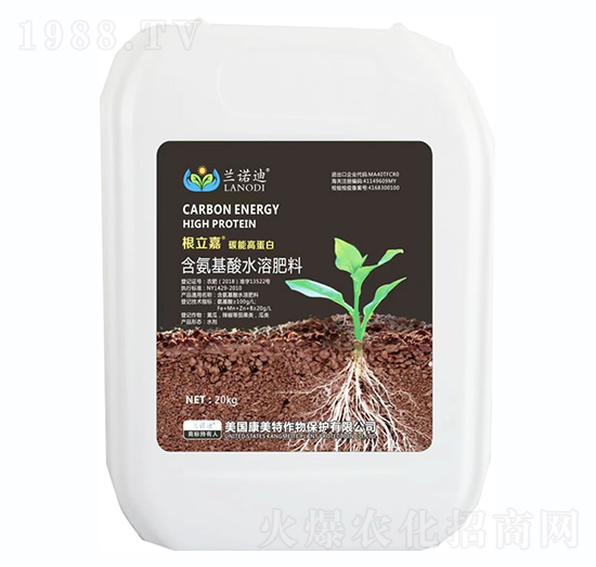 ̼�ܸߵ���-�m�Z��-������