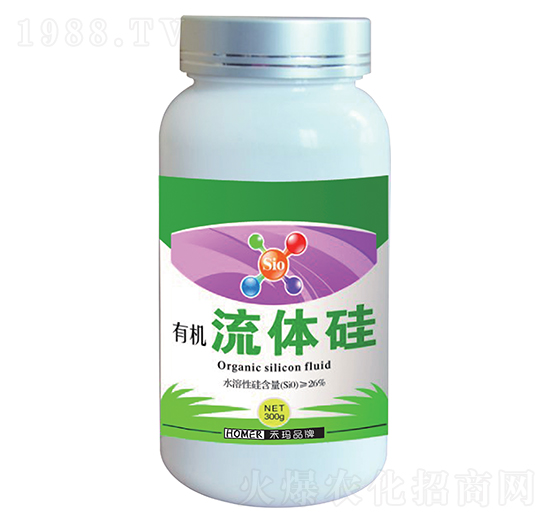 �ЙC���w��-�̬�����