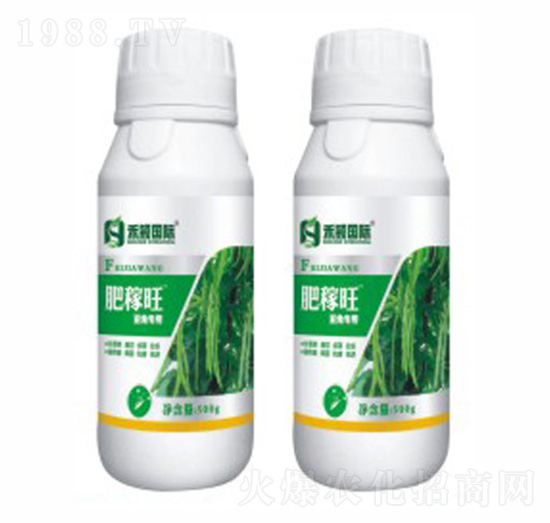 �������L(zh��ng)��(zhu��n)���~���-�ʼ���-�̷f����