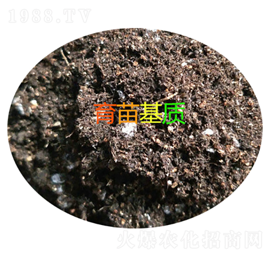 ������|(zh��)-���d����