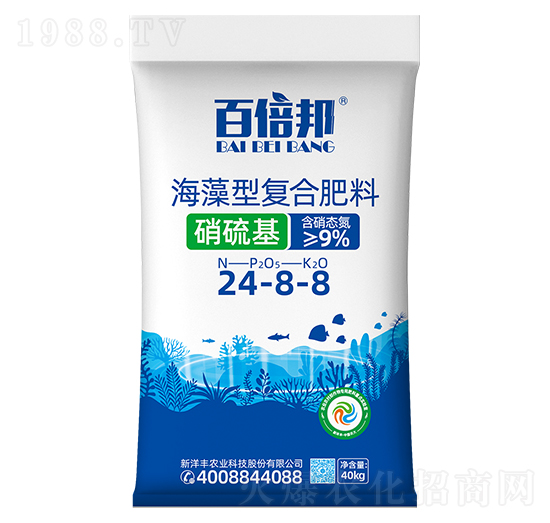 ����������͏�(f��)�Ϸ���24-8-8-�ٱ���-�����S