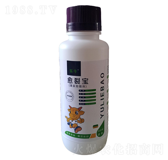 �������ф�-���������ь�-�\��I(l��ng)��