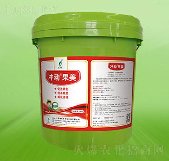 Ͱ�b�_�ӹ���-�º��S