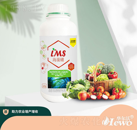 ������-��ķ��-�A����