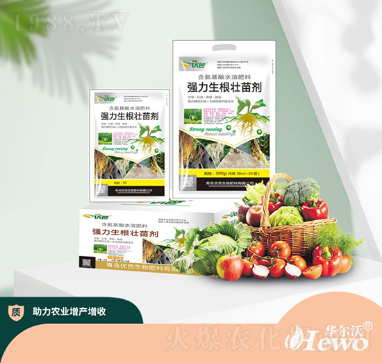 �����������焩-�A����