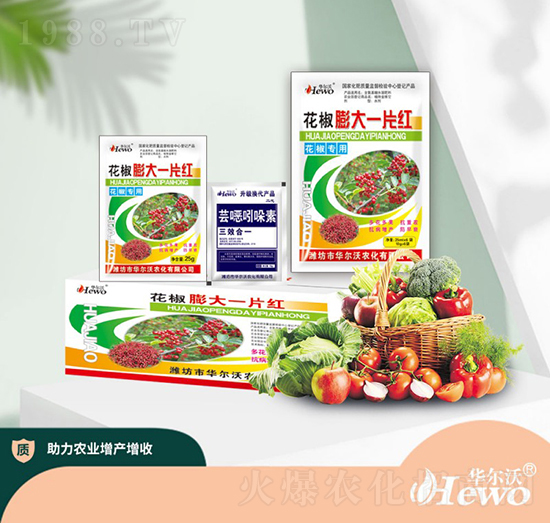 �������һƬ�t-�A����