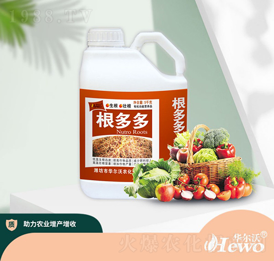 5kg�����-�A����