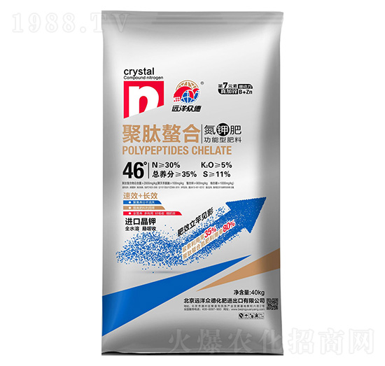 �������ϵ�⛹����ͷ���30-0-5-�h�󱊵�