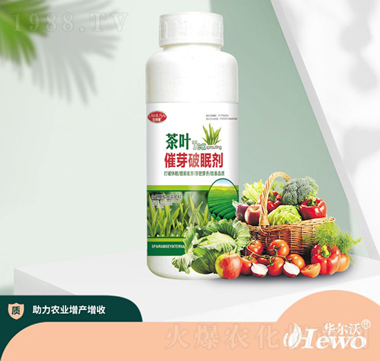 ���~��ѿ���߄�-�A����