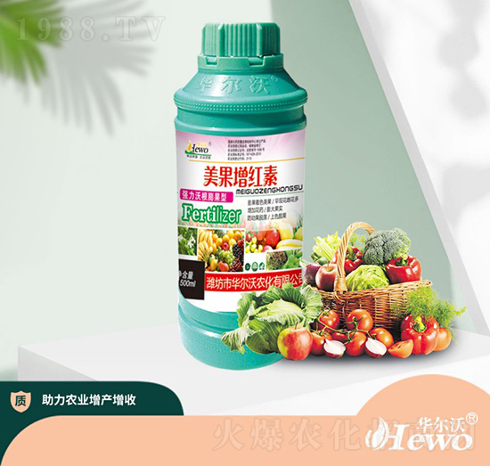 �������t��-�A����