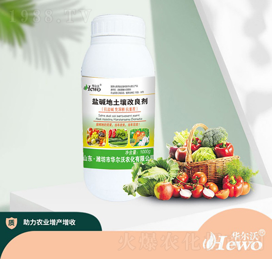 �}�A��������������ƿ��-�A����