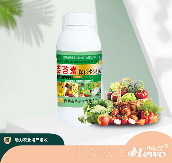 �|̦�ر��������`-�A����