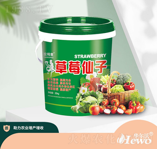 ��ݮ����-�A����