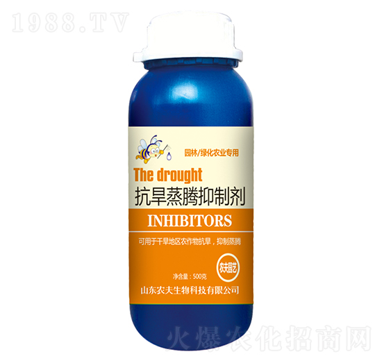 �������v���Ƅ�-�r������