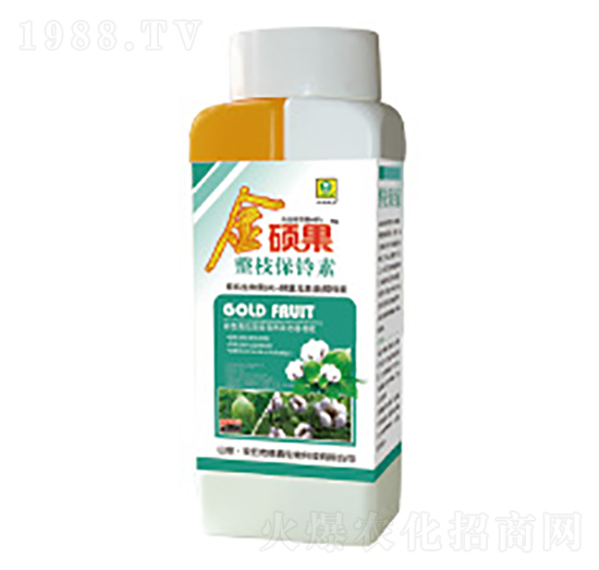 �޻���֦�����-��T��-��������