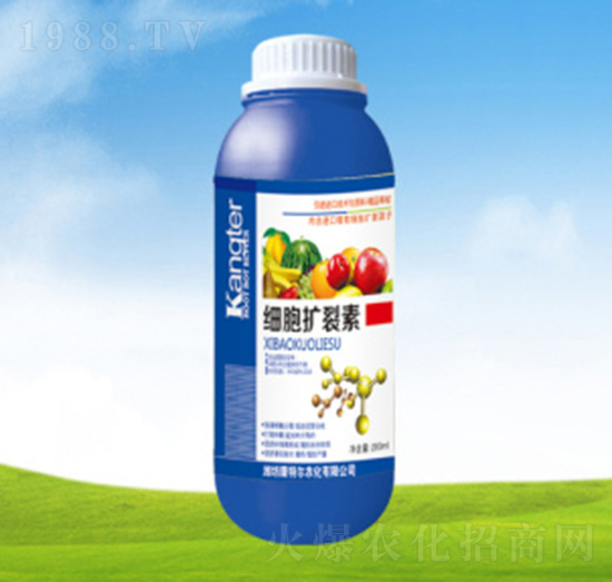 �����U����-���ؠ��r��