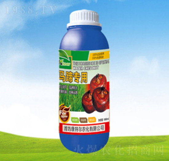 �R�㌣�þ�Ʒ�~���-���ؠ��r��