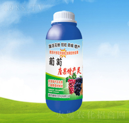 �����������a(ch��n)�`-���ؠ��r(n��ng)��