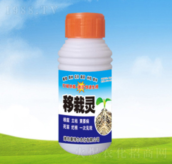 �����`-���ؠ��r��