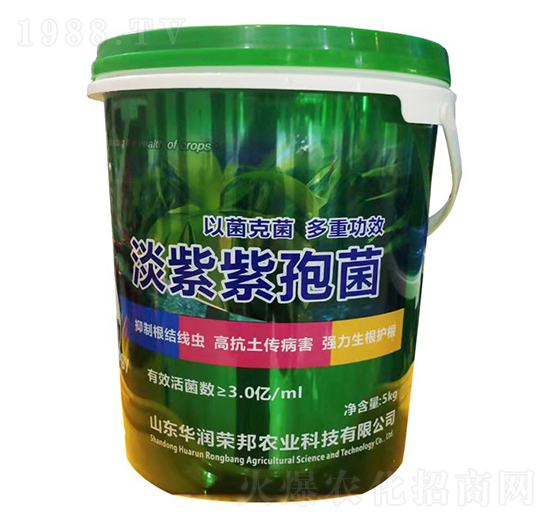 �������߾�-��(r��n)��փ�(y��u)-�A��(r��n)�s��