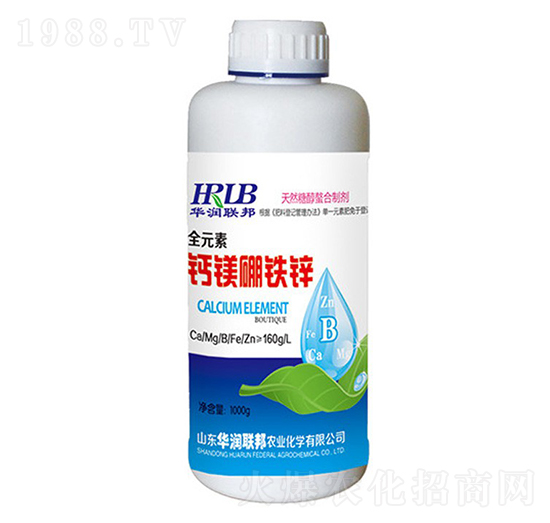 ȫԪ���}�V���F�\-�A���s��