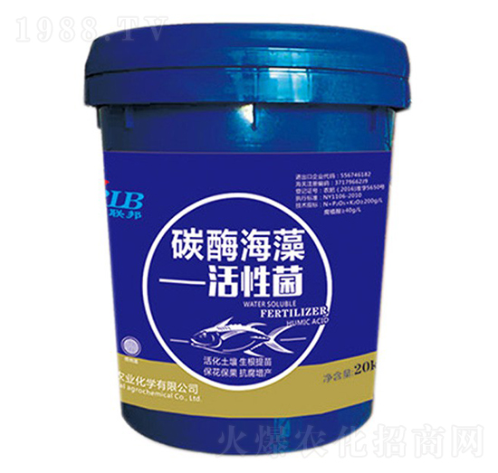 ̼ø������Ծ�-�A��(r��n)�s��