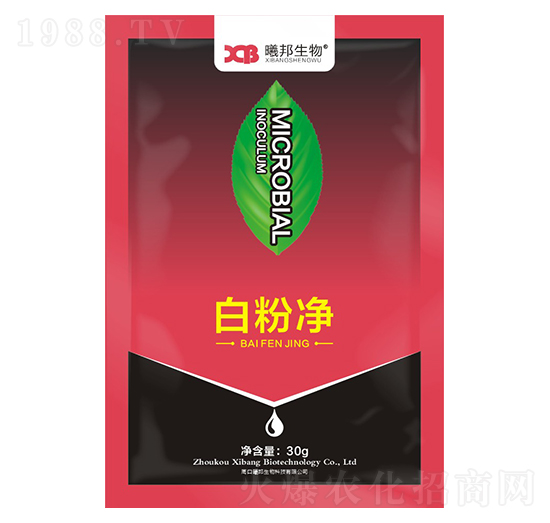 �׷ۃ�΢�������-�ذ�����