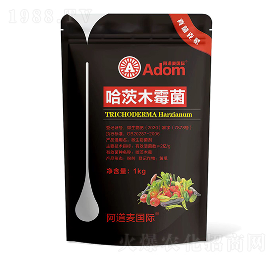 ����ľù��-�������-������