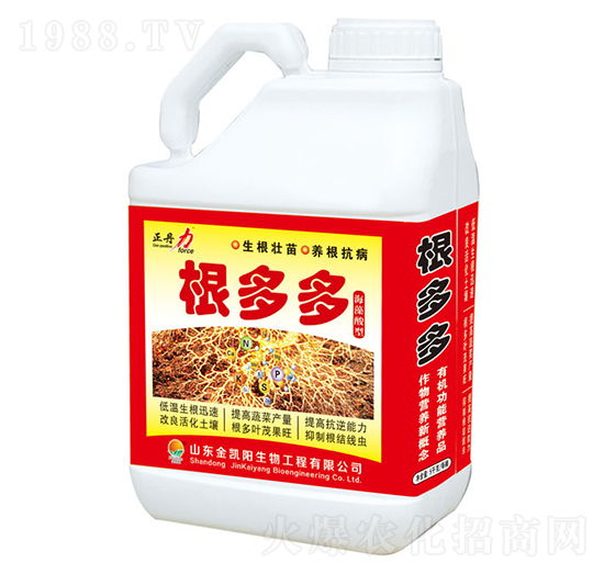 �����-������-���P�