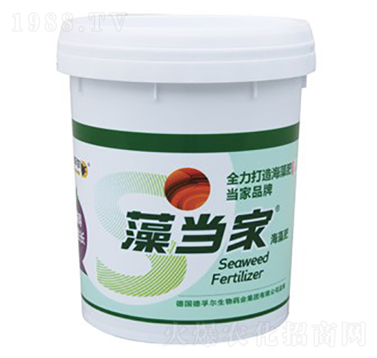 �宔�Һ����-���ڠ�