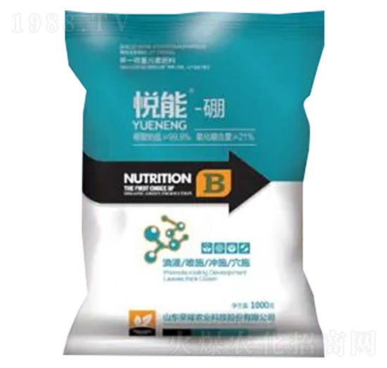 ����-��-�sҫ�r(n��ng)�I(y��)