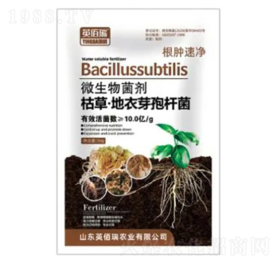 �ݲݡ�����ѿ�ߗU��-���[�ك�-�sҫ�r(n��ng)�I(y��)