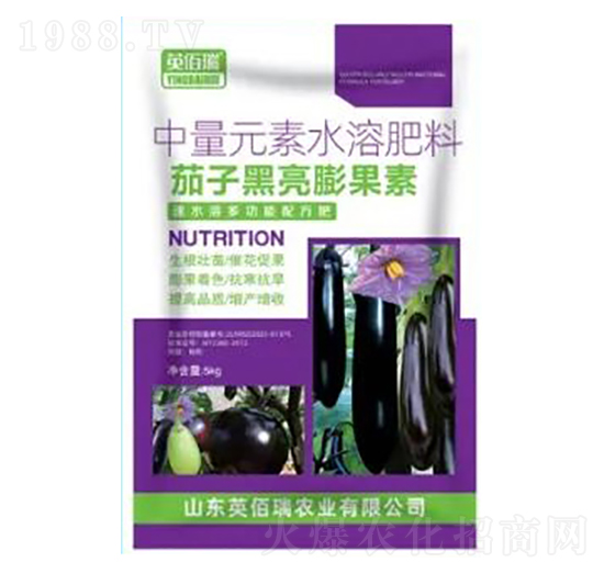 茄子黑亮膨果素-中量元素水溶肥-榮耀農(nóng)業(yè)