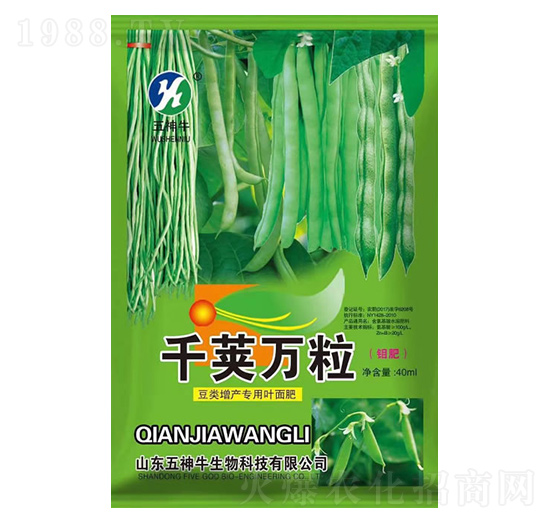 ���(l��i)�����~���-ǧ�v�f(w��n)��-����ţ