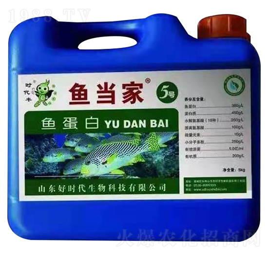 �~(y��)����-�~(y��)��(d��ng)��5̖(h��o)-�Õr(sh��)������